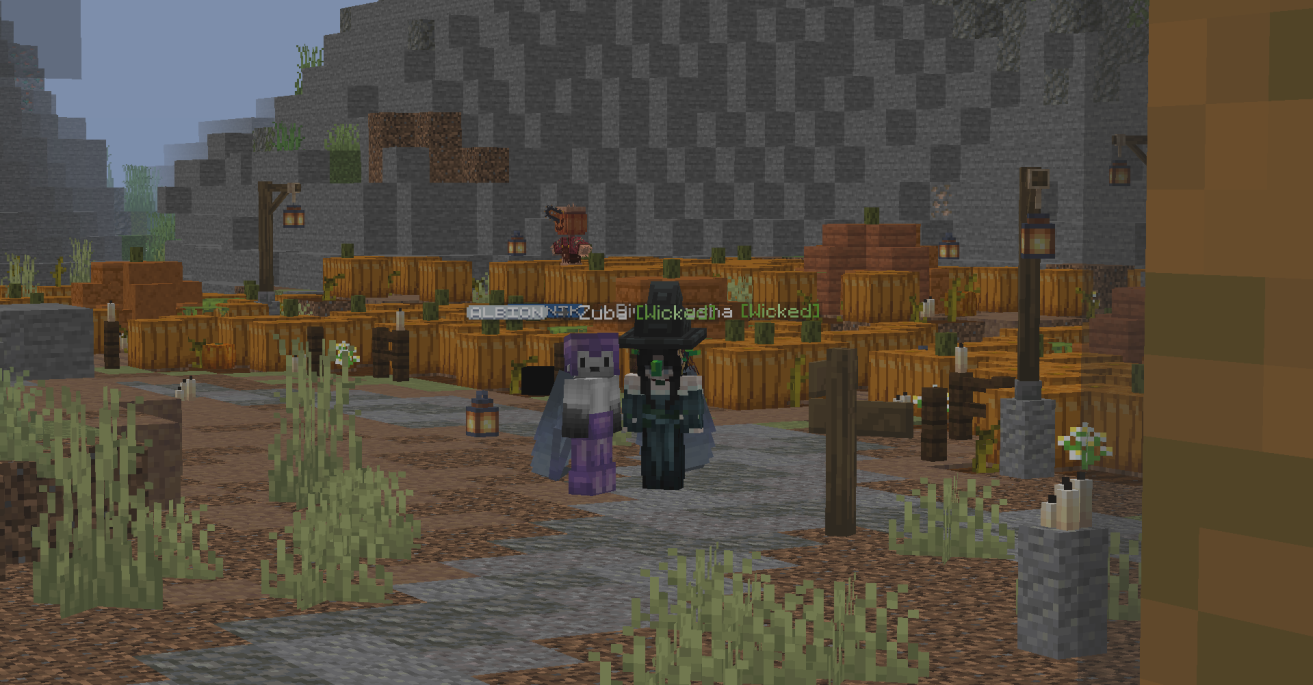 DXD Minecraft galerija slika 2