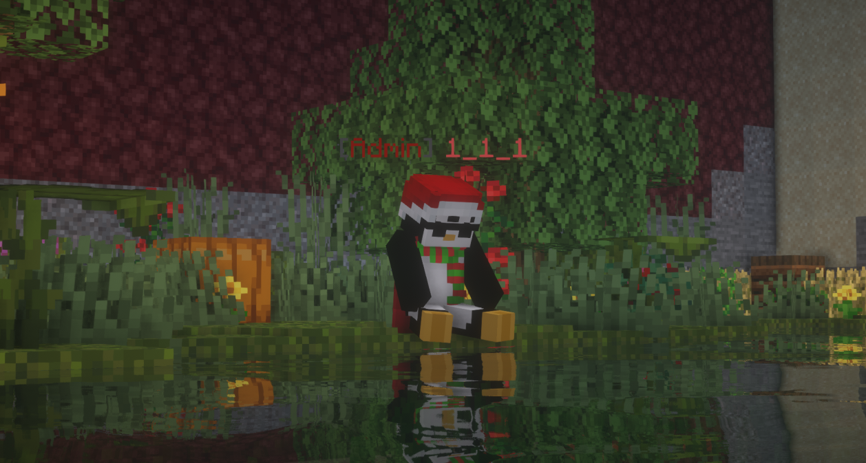DXD Minecraft galerija slika 3